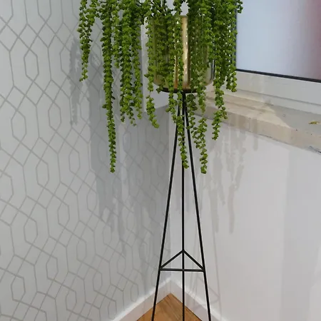 Eca - Centro Historico Bed & Breakfast *