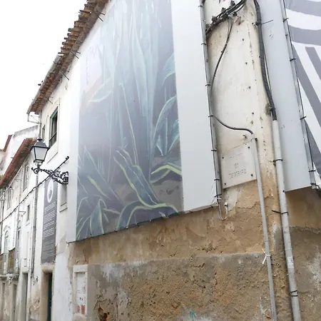 Bed & Breakfast Eca - Centro Historico *