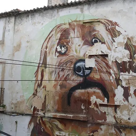 Eca - Centro Historico Bed & Breakfast *