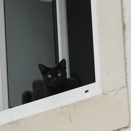 Eca - Centro Historico Bed & Breakfast